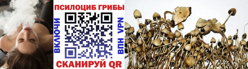 Псилоцибиновые грибы Magic Shrooms darknet официальный сайт Светлоград