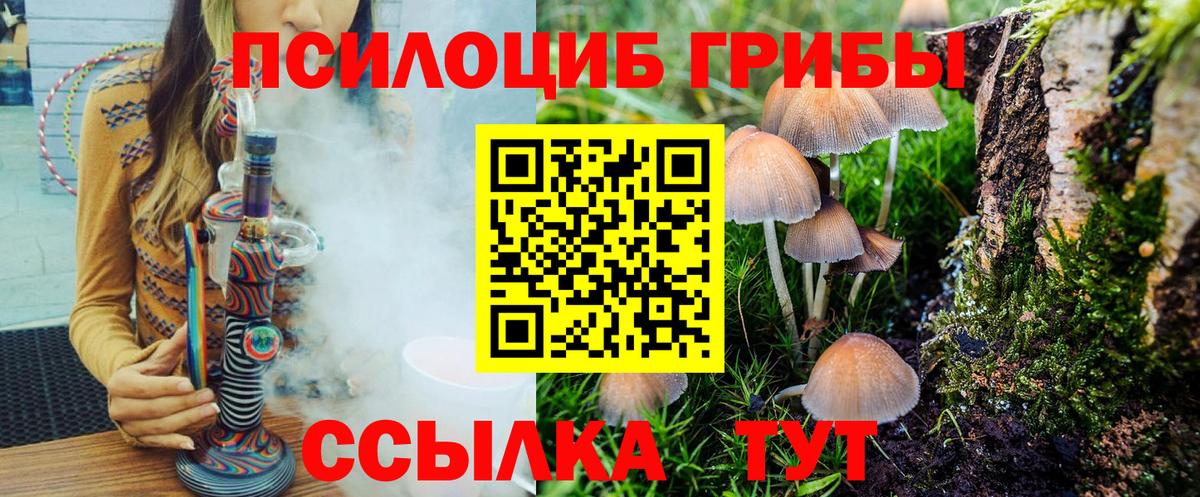 Светлоград  Галлюциногенные грибы мицелий  Вход с VPN 